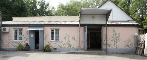 Рисунки на стенах Дарьи Марченко фото 5
