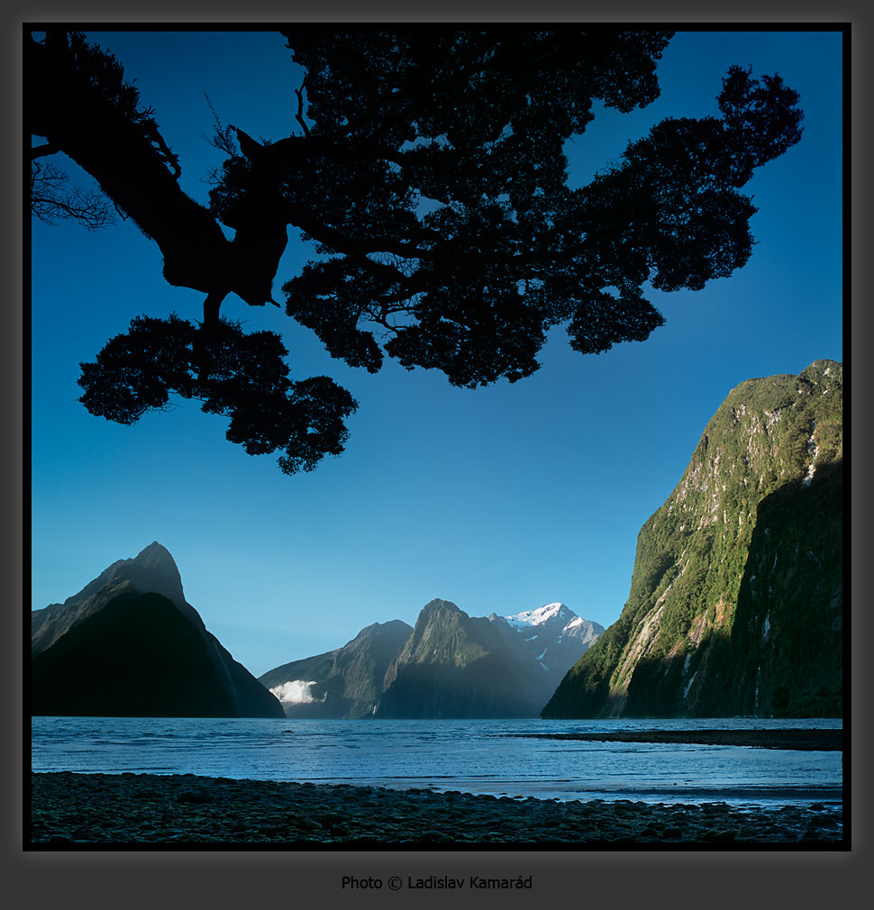  ::  Ladislav Kamarad ::  2