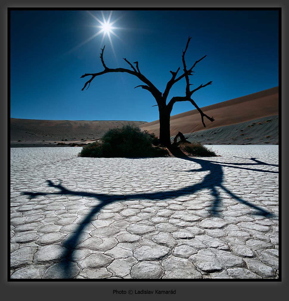  ::  Ladislav Kamarad ::  2