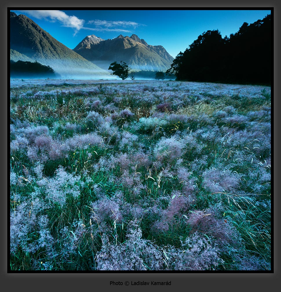  ::  Ladislav Kamarad ::  2