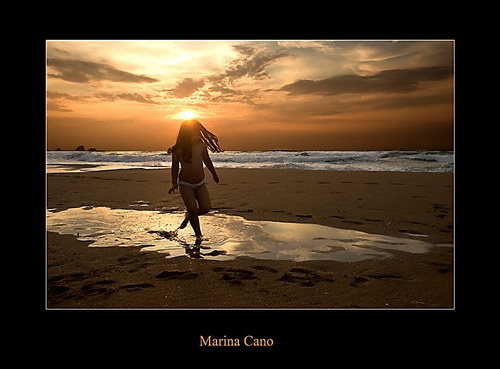 Животный мир :: Потрясающие фотографии Марины Кано фото 91