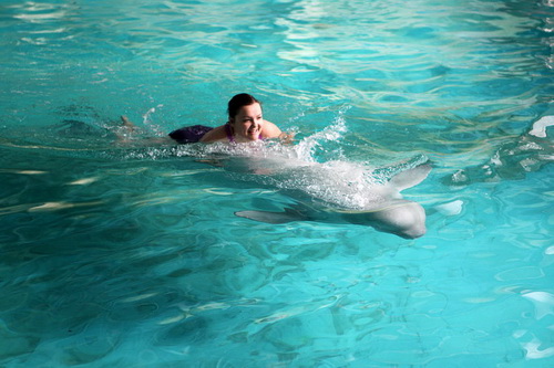 В бассейне с дельфинами фото 3