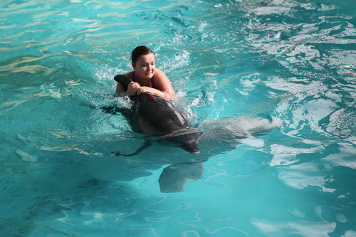 В бассейне с дельфинами фото 5