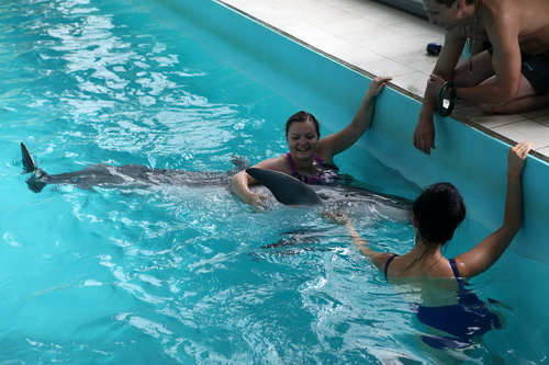 В бассейне с дельфинами фото 13