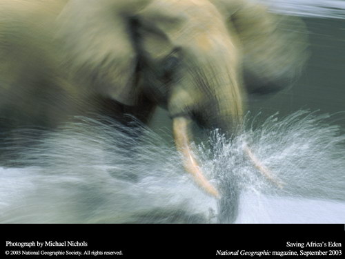   :: National Geographic  27