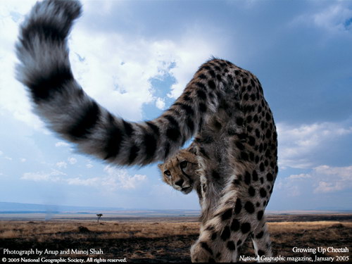   :: National Geographic  34
