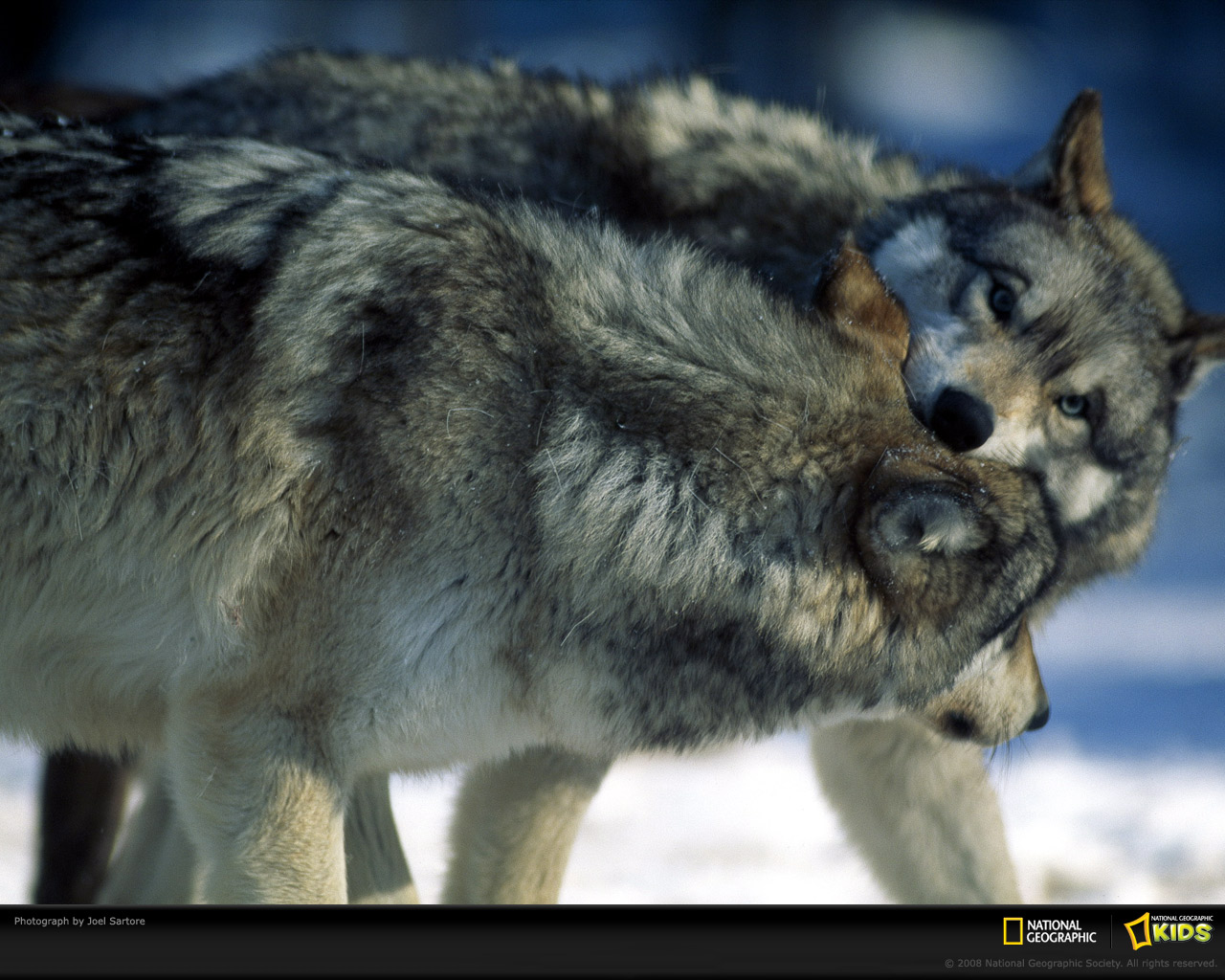  National Geographic ::  1