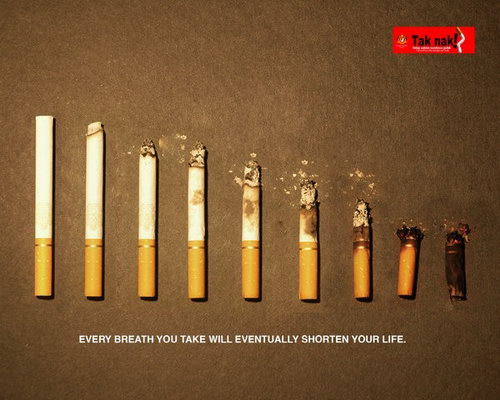 Плакаты против курения фото 8