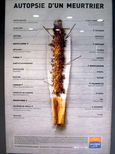Плакаты против курения фото 21