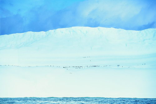 Антарктида фото 18