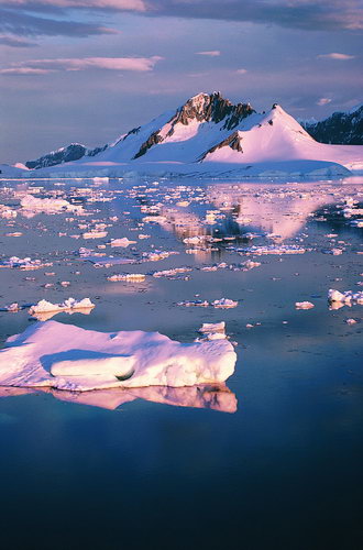 Антарктида фото 19