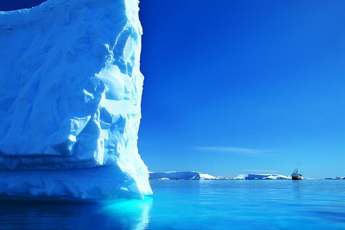 Антарктида фото 33