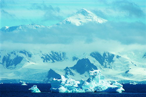 Антарктида фото 35