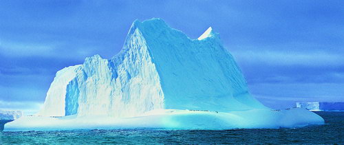 Антарктида фото 49