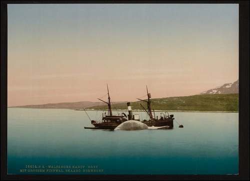 Историческое :: Норвегия 19-го века фото 27