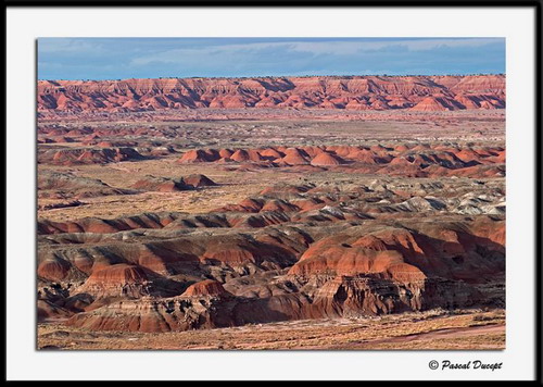  ::   (Petrified forest)  28