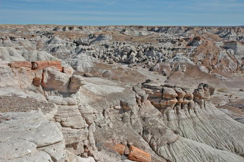  ::   (Petrified forest)  41