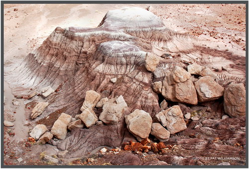  ::   (Petrified forest)  75