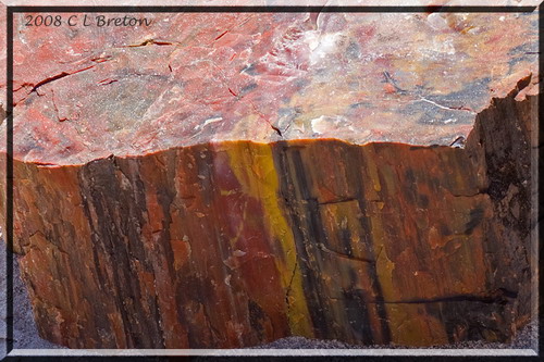  ::   (Petrified forest)  87