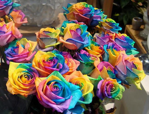 Розы всех цветов радуги фото 4