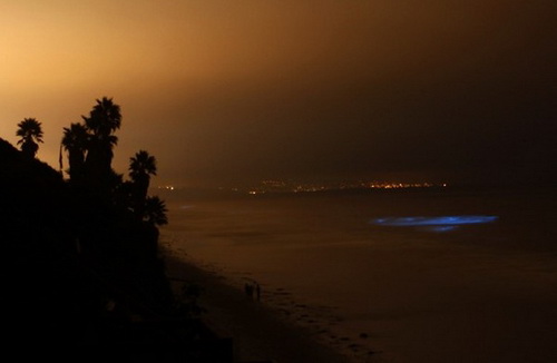 Голубые волны в Сан-Диего фото 9
