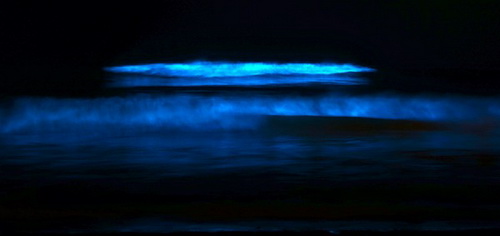 Голубые волны в Сан-Диего фото 11