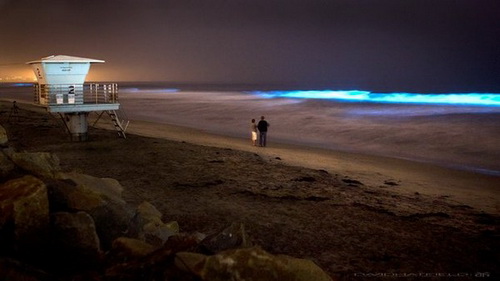 Голубые волны в Сан-Диего фото 15