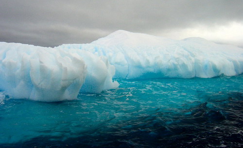Антарктика фото 25