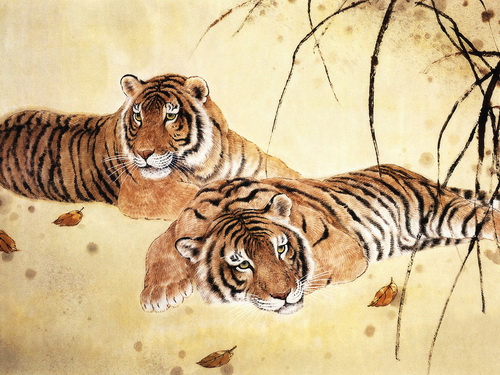Тигры фото 25