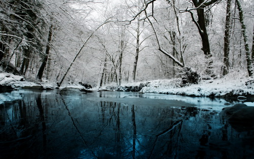 Зима 2011 фото 7