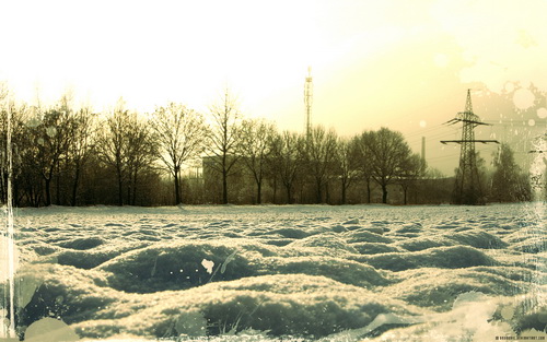 Зима 2011 фото 10