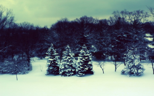 Зима фото 32