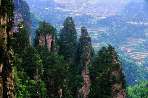 Национальный парк Чжанцзяцзе (Zhangjiajie) фото 14