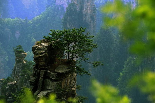 Национальный парк Чжанцзяцзе (Zhangjiajie) фото 18