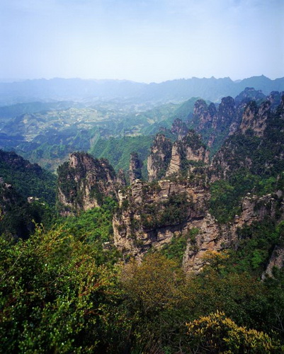 Национальный парк Чжанцзяцзе (Zhangjiajie) фото 32