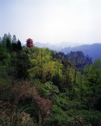 Национальный парк Чжанцзяцзе (Zhangjiajie) фото 33