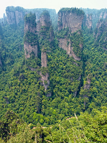 Национальный парк Чжанцзяцзе (Zhangjiajie) фото 44