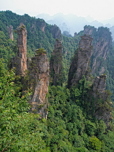 Национальный парк Чжанцзяцзе (Zhangjiajie) фото 45
