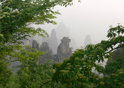 Национальный парк Чжанцзяцзе (Zhangjiajie) фото 72