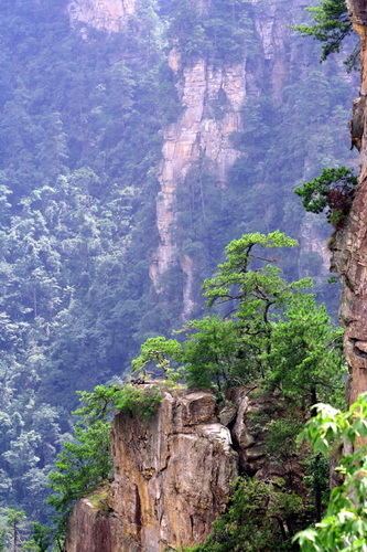 Национальный парк Чжанцзяцзе (Zhangjiajie) фото 74
